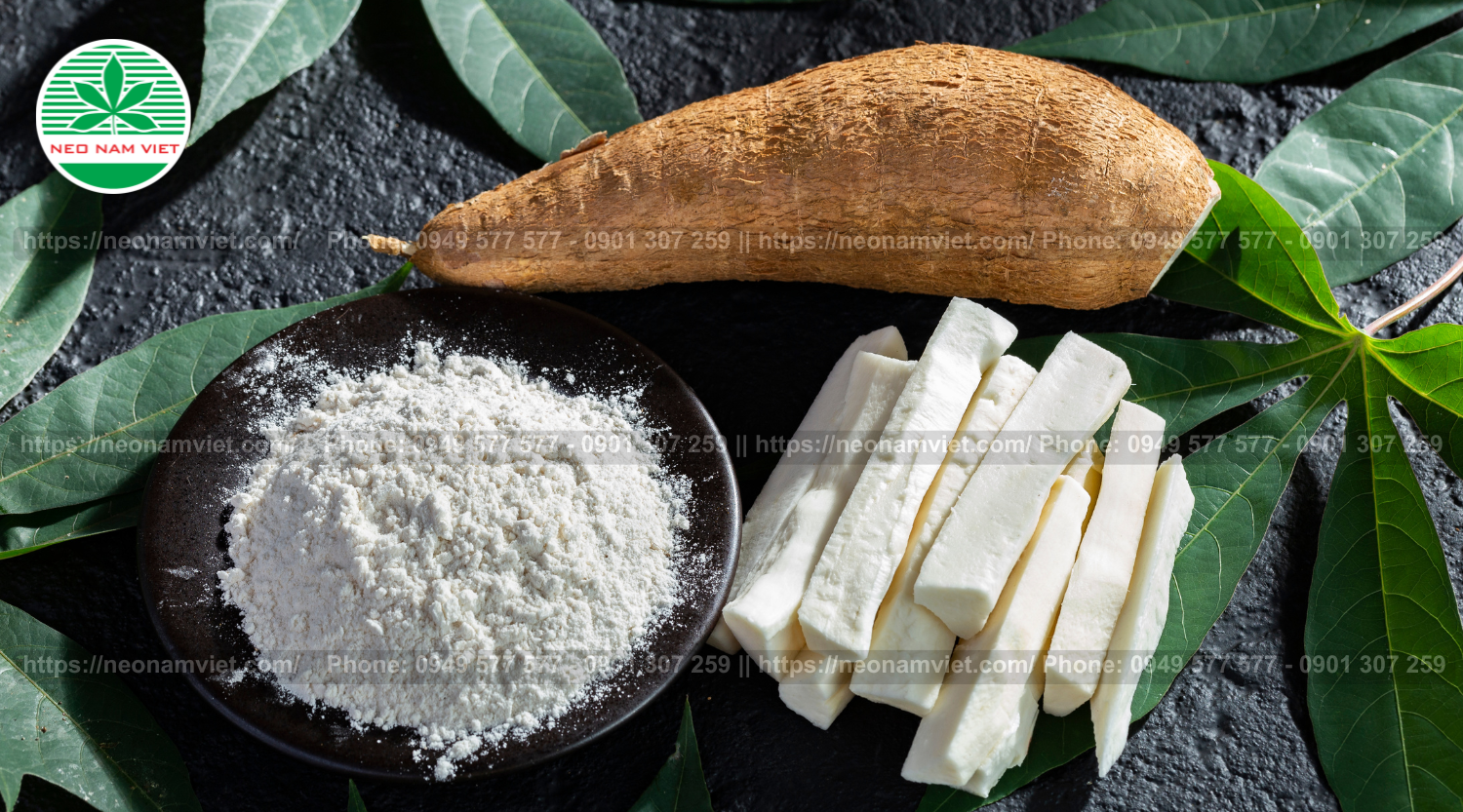 Bảng tin thị trường Tinh bột khoai mì (sắn) tháng 08 || Neo Nam Việt