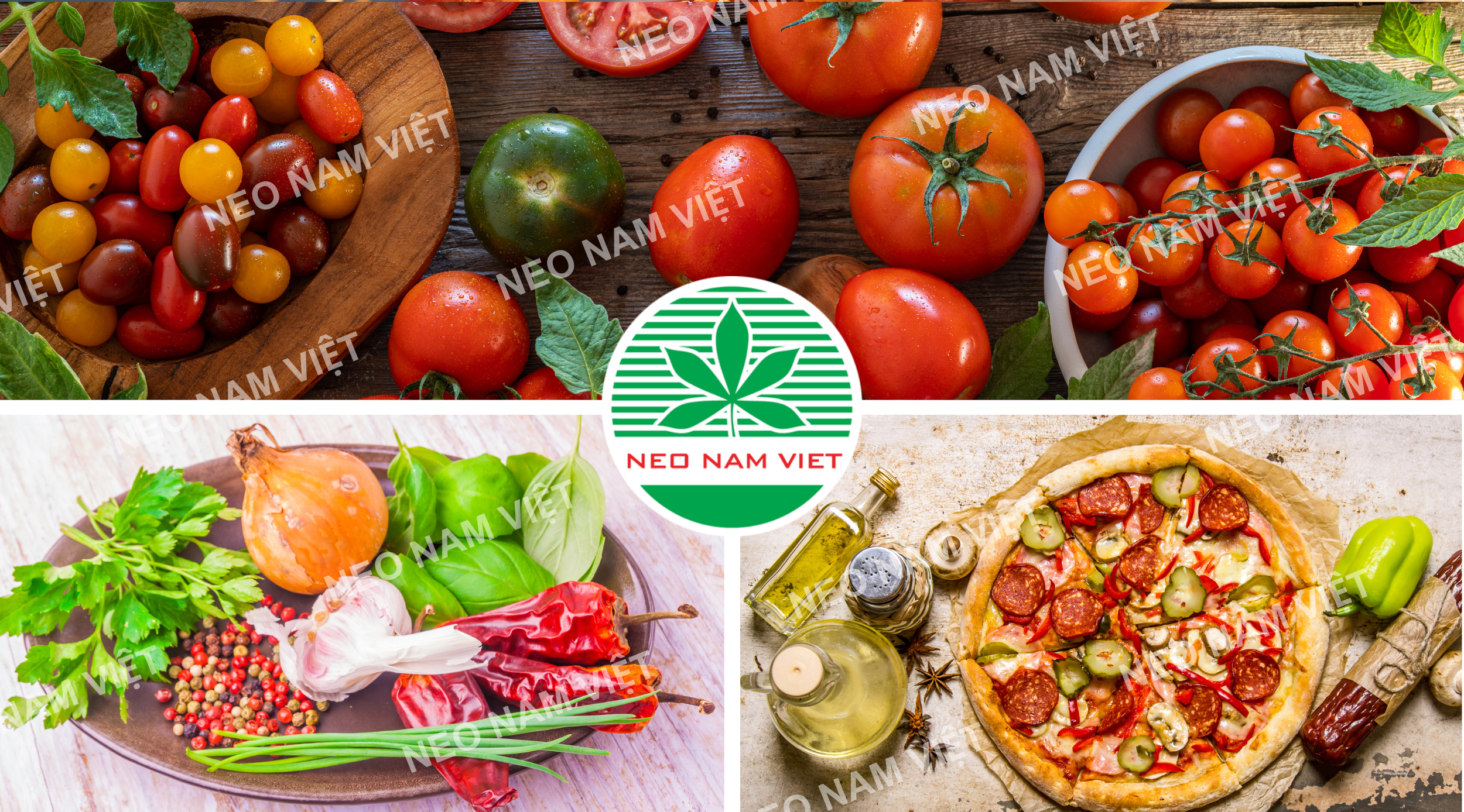 Chuẩn bị nguyên liệu làm nước sốt cà chua || Neo Nam Việt